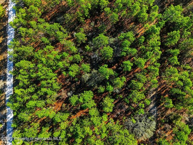 0 Raschke Run, Weeki Wachee, FL 34614