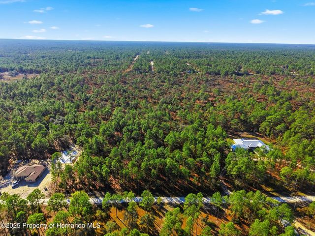 0 Raschke Run, Weeki Wachee, FL 34614