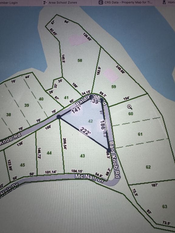 0 Bald Knob Rd, Tennessee Ridge, TN 37178