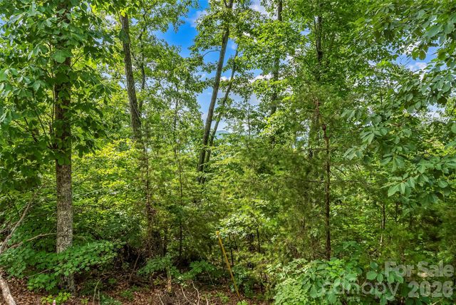 0 Brighton Drive 237, Bostic, NC 28018