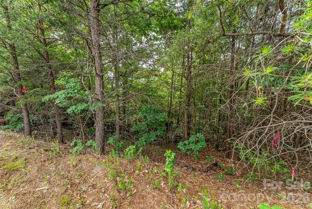 0 Brighton Drive 237, Bostic, NC 28018