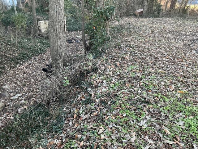 848 Highway 32, Bolivar, MO 65613