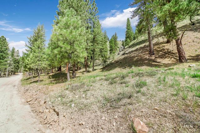 TBD Trinity Creek Rd, Featherville, ID 83647