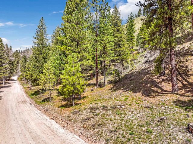TBD Trinity Creek Rd, Featherville, ID 83647