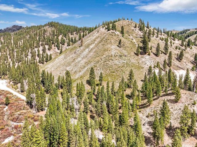 TBD Trinity Creek Rd, Featherville, ID 83647