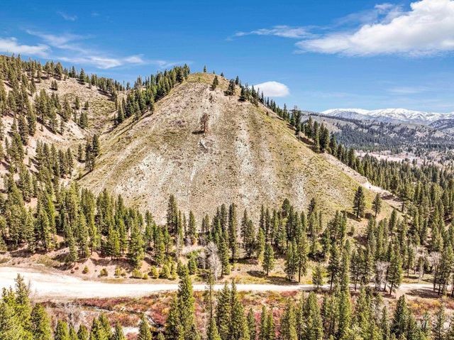 TBD Trinity Creek Rd, Featherville, ID 83647