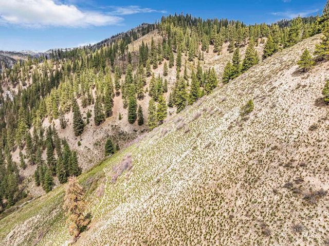TBD Trinity Creek Rd, Featherville, ID 83647