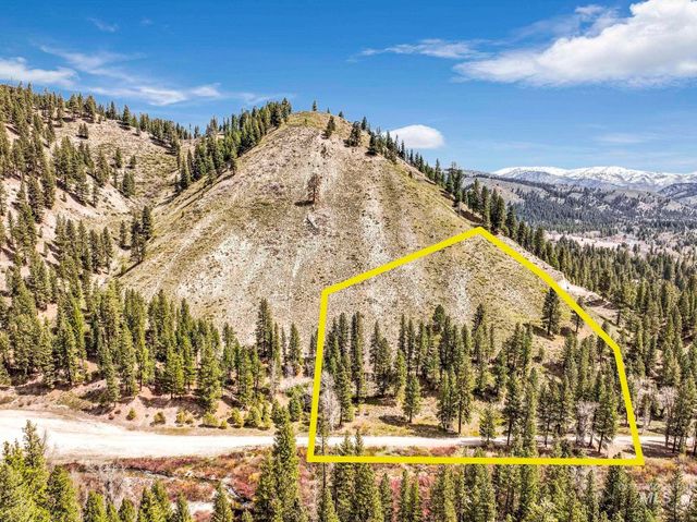TBD Trinity Creek Rd, Featherville, ID 83647