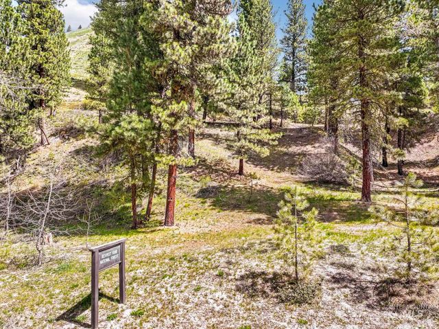 TBD Trinity Creek Rd, Featherville, ID 83647