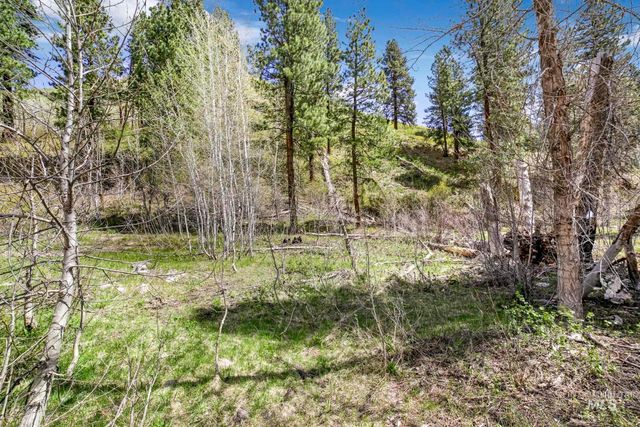 TBD Trinity Creek Rd, Featherville, ID 83647