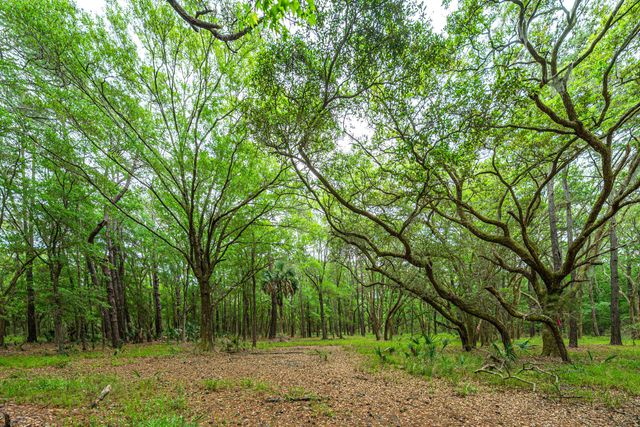 Lot 3 King Rail Lane, Edisto Island, SC 29438