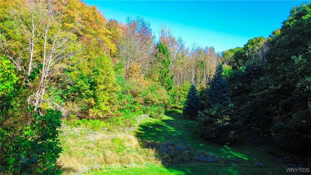 2245 Thomas Road, Sheldon, NY 14167