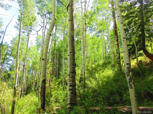 6295 Malcolm Rd, San Luis, CO 81152