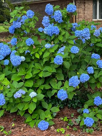 770 Torrey Pines Drive, Sumter, SC 29150