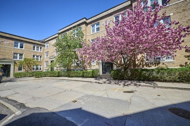 233 Freeman 4, Brookline, MA 02446