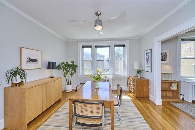 233 Freeman 4, Brookline, MA 02446