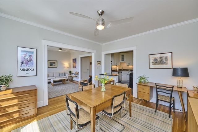 233 Freeman 4, Brookline, MA 02446