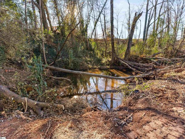 320 Carney Street, Drayton, SC 29333