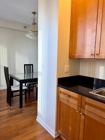 1250 S Indiana Avenue 1303, Chicago, IL 60605