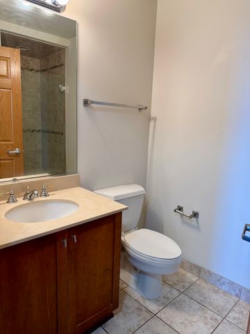 1250 S Indiana Avenue 1303, Chicago, IL 60605
