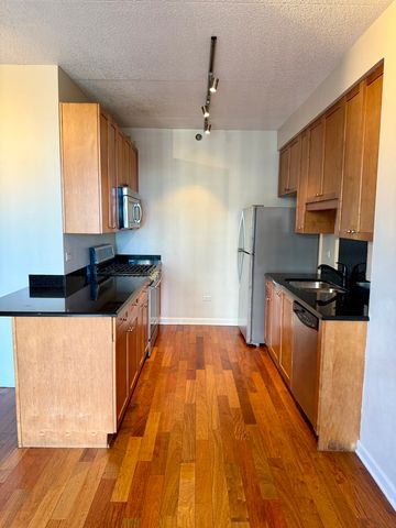 1250 S Indiana Avenue 1303, Chicago, IL 60605