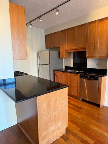 1250 S Indiana Avenue 1303, Chicago, IL 60605