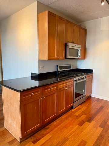 1250 S Indiana Avenue 1303, Chicago, IL 60605