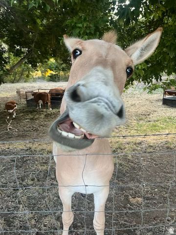 3488 E FAIRWAY LN, Spanish Fork, UT 84660