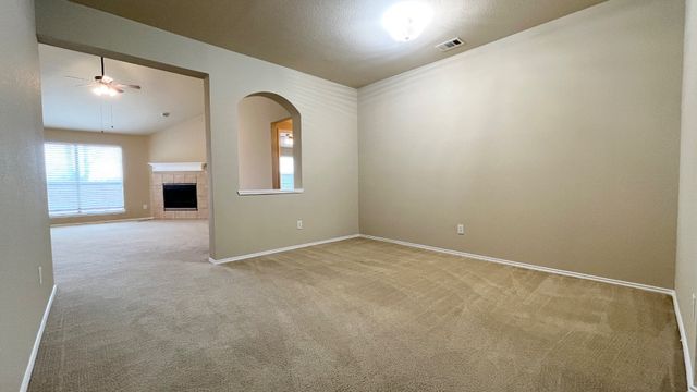 233 Niagara Falls Drive, Anna, TX 75409