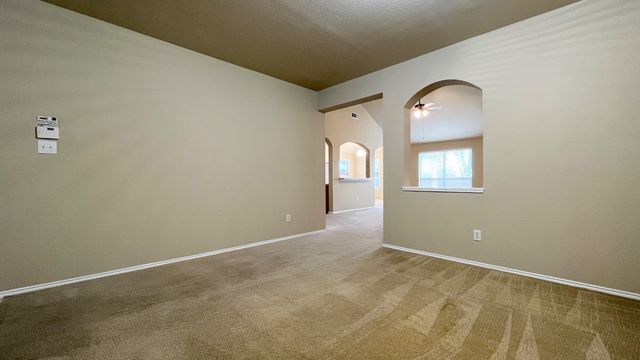 233 Niagara Falls Drive, Anna, TX 75409