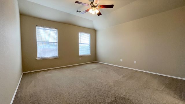 233 Niagara Falls Drive, Anna, TX 75409