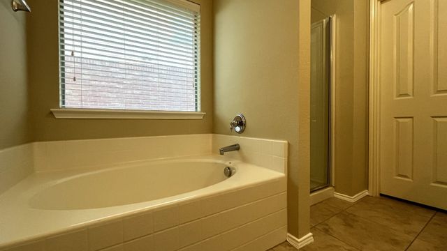 233 Niagara Falls Drive, Anna, TX 75409