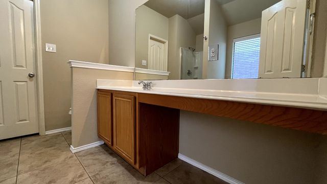 233 Niagara Falls Drive, Anna, TX 75409