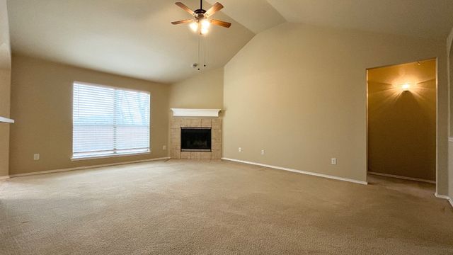 233 Niagara Falls Drive, Anna, TX 75409