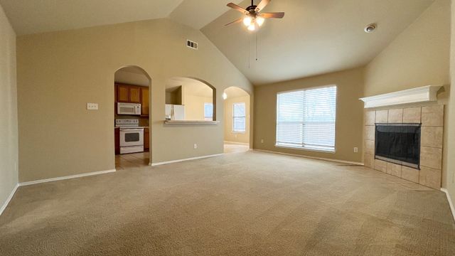 233 Niagara Falls Drive, Anna, TX 75409