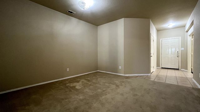 233 Niagara Falls Drive, Anna, TX 75409