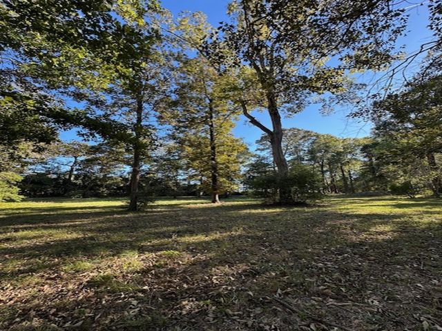 10699 Magnolia Drive, Conroe, TX 77303