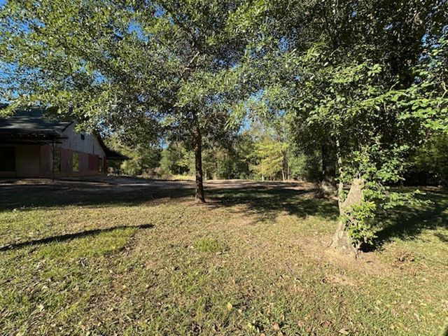 10699 Magnolia Drive, Conroe, TX 77303