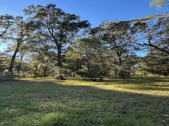 10699 Magnolia Drive, Conroe, TX 77303