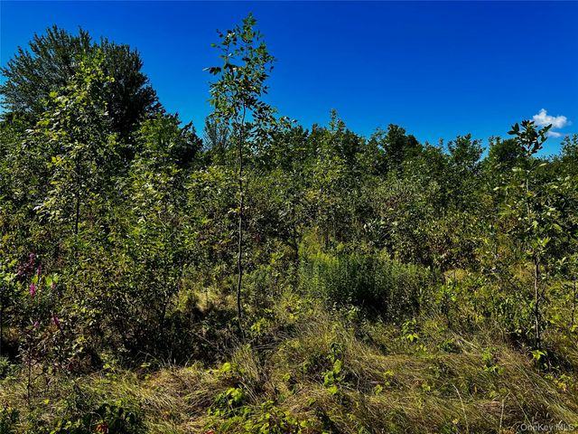 00 N Vernon, Athens, NY 12015