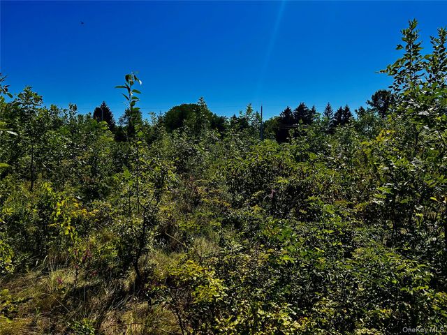 00 N Vernon, Athens, NY 12015