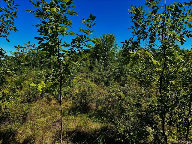 00 N Vernon, Athens, NY 12015