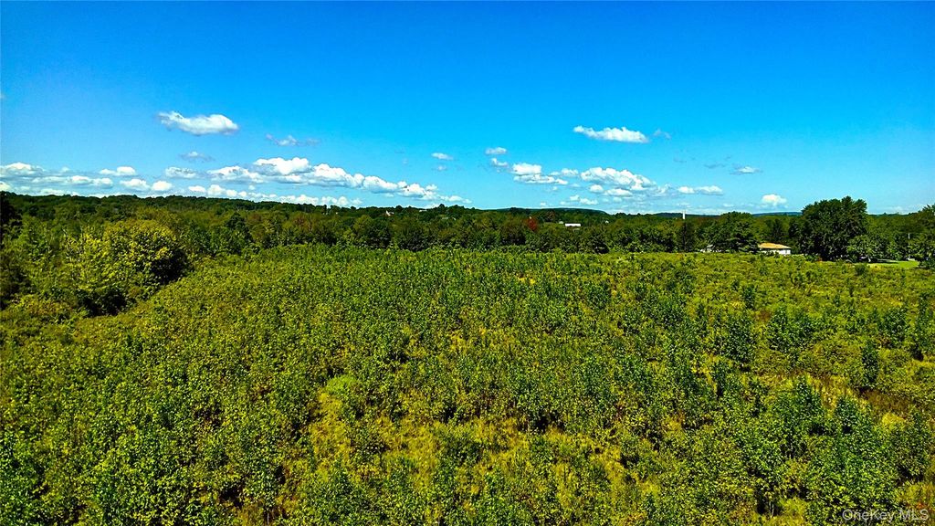 00 N Vernon, Athens, NY 12015