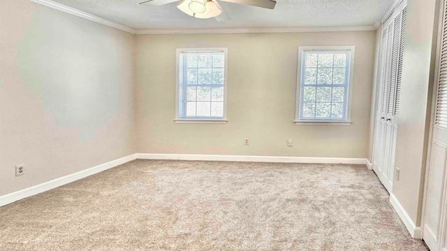 5718 Quince Rd Apt 10, Memphis, TN 38119