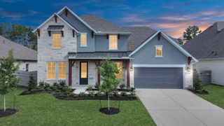 17011 Sweet Iris Court, Conroe, TX 77302