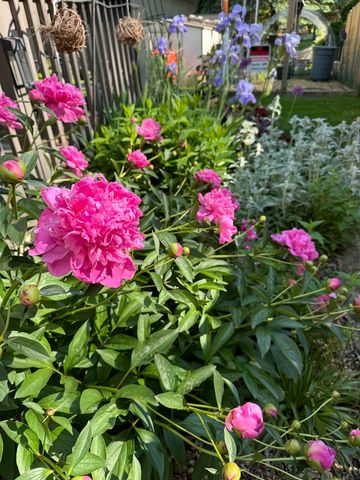 17W435 Concord Place, Darien, IL 60561