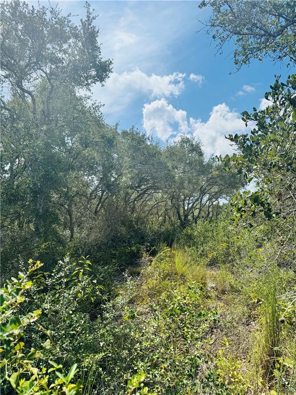 0 Ebert (off Deberry) Ave, Aransas Pass, TX 78336 — photo 2