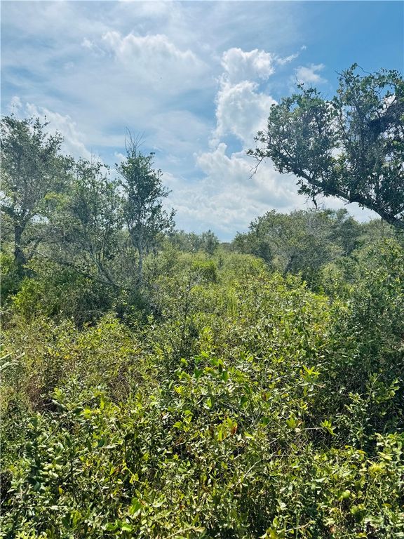0 Ebert (off Deberry) Ave, Aransas Pass, TX 78336 — photo 5