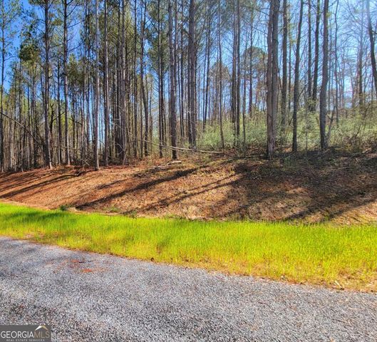 68 Mountaingate Way, Ellijay, GA 30536