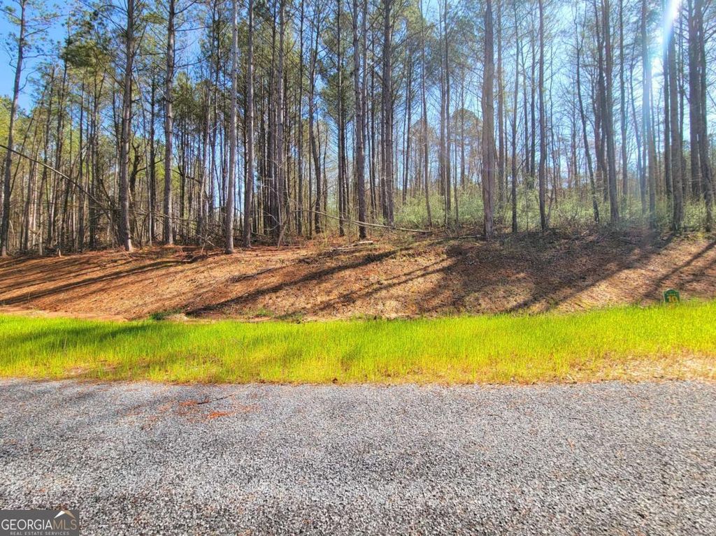 68 Mountaingate Way, Ellijay, GA 30536